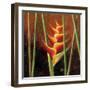 Heliconias En Naranja II-Patricia Pinto-Framed Art Print