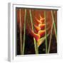 Heliconias En Naranja II-Patricia Pinto-Framed Art Print