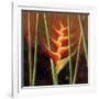 Heliconias En Naranja II-Patricia Pinto-Framed Art Print