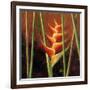 Heliconias En Naranja II-Patricia Pinto-Framed Art Print