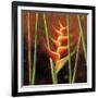 Heliconias En Naranja II-Patricia Pinto-Framed Art Print