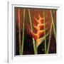 Heliconias En Naranja II-Patricia Pinto-Framed Art Print