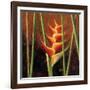 Heliconias En Naranja II-Patricia Pinto-Framed Art Print