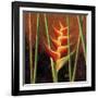 Heliconias En Naranja II-Patricia Pinto-Framed Art Print