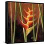 Heliconias En Naranja II-Patricia Pinto-Framed Stretched Canvas