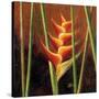 Heliconias En Naranja II-Patricia Pinto-Stretched Canvas