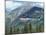 Helicopter in the Rocky Mountains, British Columbia, Canada, North America-Robert Harding-Mounted Photographic Print