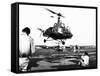 Helicopter Landing at Tan Son Nhut Air Base, Saigon, Vietnam, 1953-null-Framed Stretched Canvas