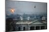 Helicopter Landing over White House Roof-null-Mounted Photographic Print