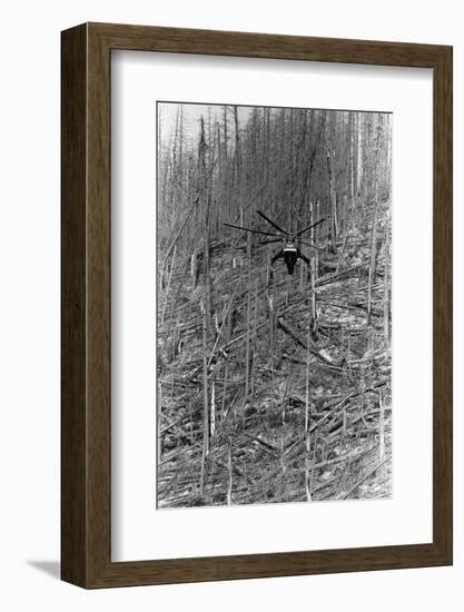 Helicopter Removing Fallen Trees-null-Framed Photographic Print