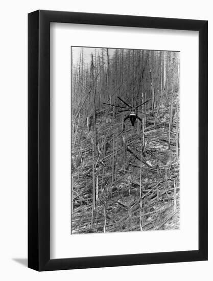 Helicopter Removing Fallen Trees-null-Framed Photographic Print