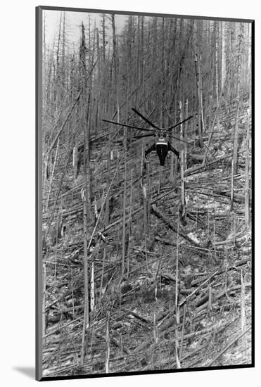 Helicopter Removing Fallen Trees-null-Mounted Photographic Print