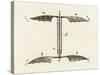 Helicopter Rotor Blades, or Screw-Model, by Penaud, 1872-null-Stretched Canvas