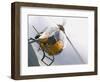 Helicopter Tour at Sognefjord, Norway-Russell Young-Framed Photographic Print