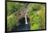 Helicopter tour from Hilo to Pu'u O'o vent and crater area, Big Island, Hawaii, USA-Stuart Westmorland-Framed Photographic Print