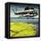 Helicopter-Wilf Hardy-Framed Stretched Canvas