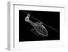 Helicopter-Podsolnukh-Framed Photographic Print