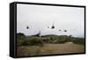 Helicopters Flying in Formation-null-Framed Stretched Canvas