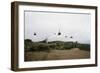 Helicopters Flying in Formation-null-Framed Photographic Print