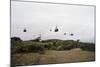 Helicopters Flying in Formation-null-Mounted Photographic Print