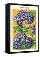 Heliotrope Du Perou-null-Framed Stretched Canvas