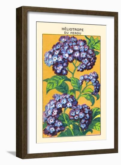 Heliotrope Du Perou-null-Framed Art Print