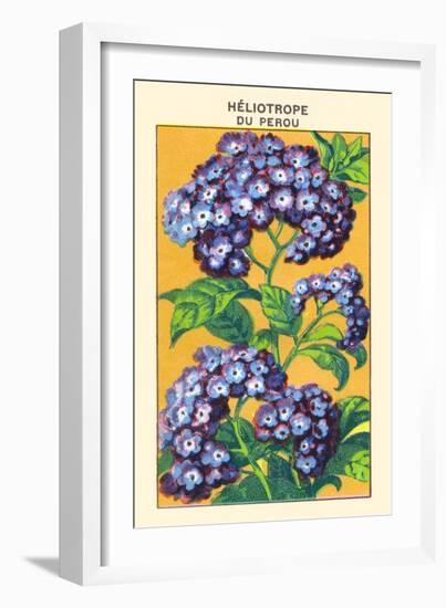 Heliotrope Du Perou-null-Framed Art Print
