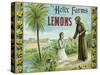 Helix Farms Lemon Label - San Diego, CA-Lantern Press-Stretched Canvas