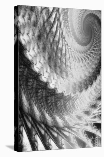 Helix II-James Burghardt-Stretched Canvas