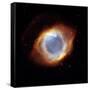 Helix Nebula, HST Image-null-Framed Stretched Canvas