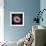 Helix Nebula, Infrared Spitzer Image-null-Framed Premium Photographic Print displayed on a wall