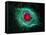 Helix Nebula-Stocktrek Images-Framed Stretched Canvas