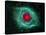 Helix Nebula-Stocktrek Images-Stretched Canvas