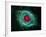 Helix Nebula-Stocktrek Images-Framed Photographic Print