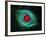 Helix Nebula-Stocktrek Images-Framed Photographic Print