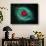 Helix Nebula-Stocktrek Images-Photographic Print displayed on a wall