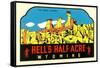 Hell's Half Acre Decal-null-Framed Stretched Canvas