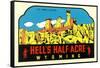 Hell's Half Acre Decal-null-Framed Stretched Canvas