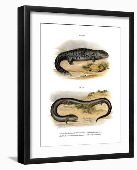 Hellbender-null-Framed Giclee Print