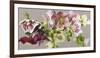 Hellebore Melody - Fawn-Sarah Caswell-Framed Giclee Print