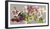 Hellebore Melody-Sarah Caswell-Framed Giclee Print