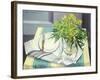 Hellebores Corsica, 1978-Sandra Lawrence-Framed Giclee Print