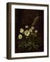 Hellebores in a Rockery-Otto Didrik Ottesen-Framed Giclee Print