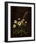 Hellebores in a Rockery-Otto Didrik Ottesen-Framed Giclee Print