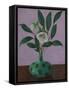 Hellebores with Viburnum Leaves-Ruth Addinall-Framed Stretched Canvas