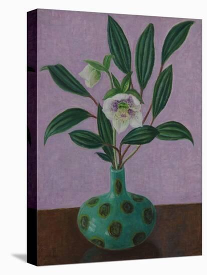 Hellebores with Viburnum Leaves-Ruth Addinall-Stretched Canvas