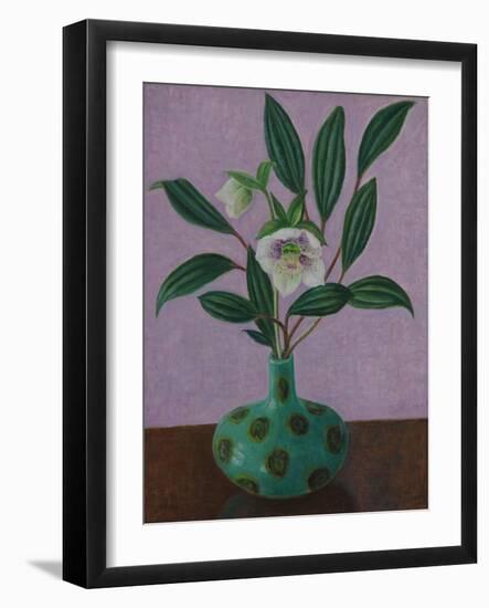 Hellebores with Viburnum Leaves-Ruth Addinall-Framed Giclee Print