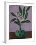 Hellebores with Viburnum Leaves-Ruth Addinall-Framed Giclee Print