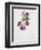 Helleborus Atrorubens-Sarah Creswell-Framed Giclee Print