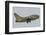 Hellenic Air Force Ta-7 Corsair Ii Taking Off-Stocktrek Images-Framed Photographic Print